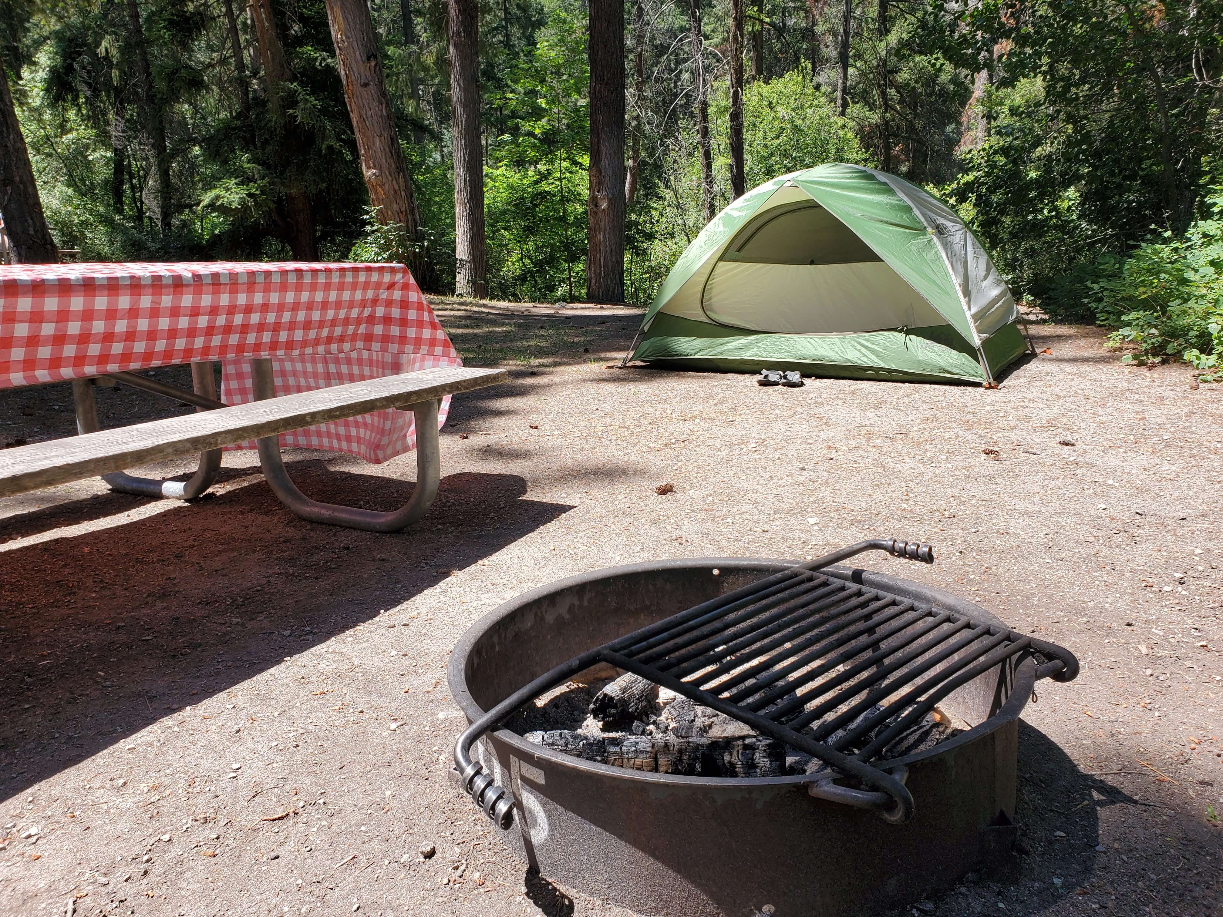 Campsite with a fire ring and picnic table at Lake Chelan State Park