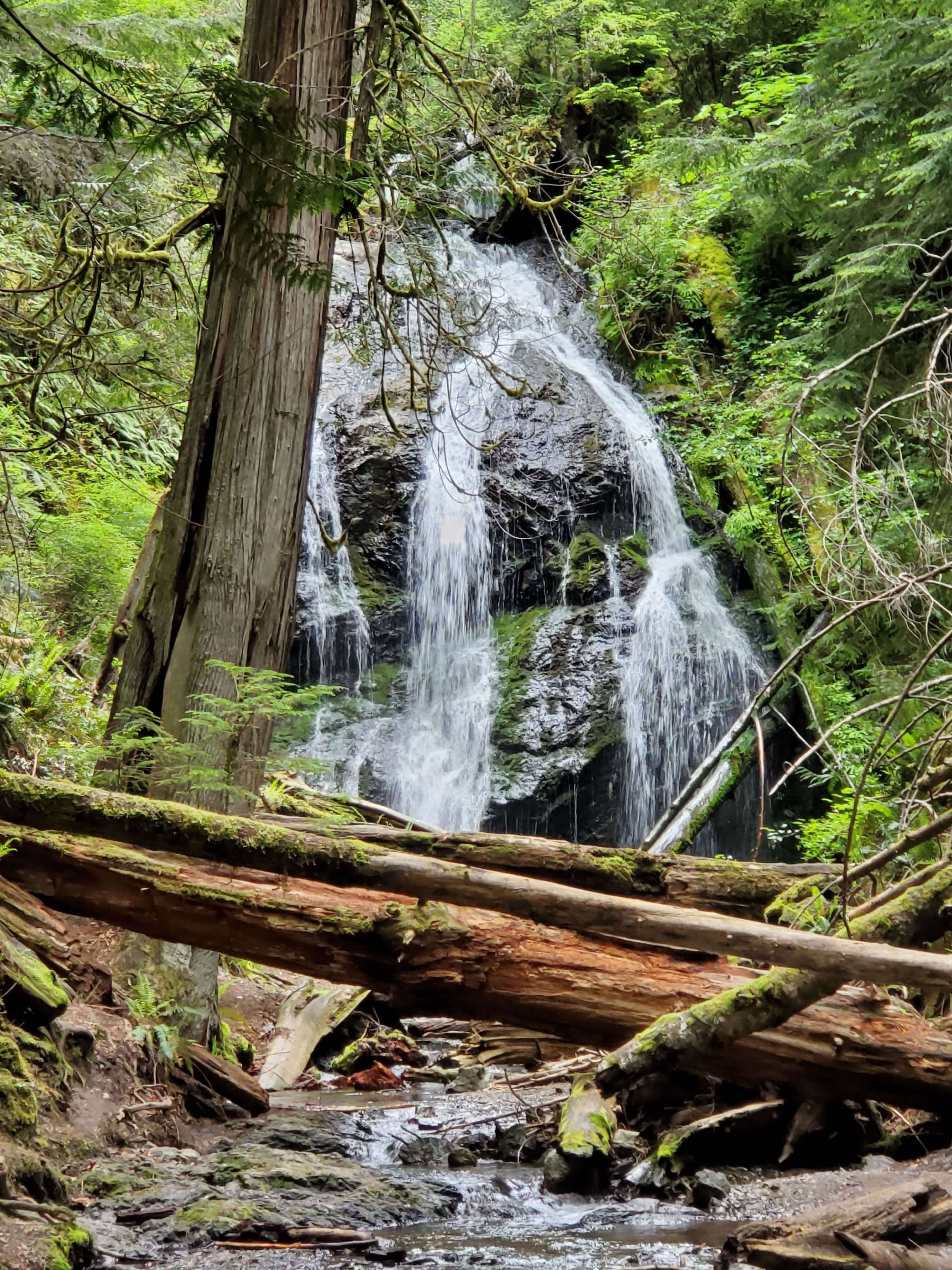 Cascade Falls as seen from the lower viewpoint in Moran State Park on Orcas Island
