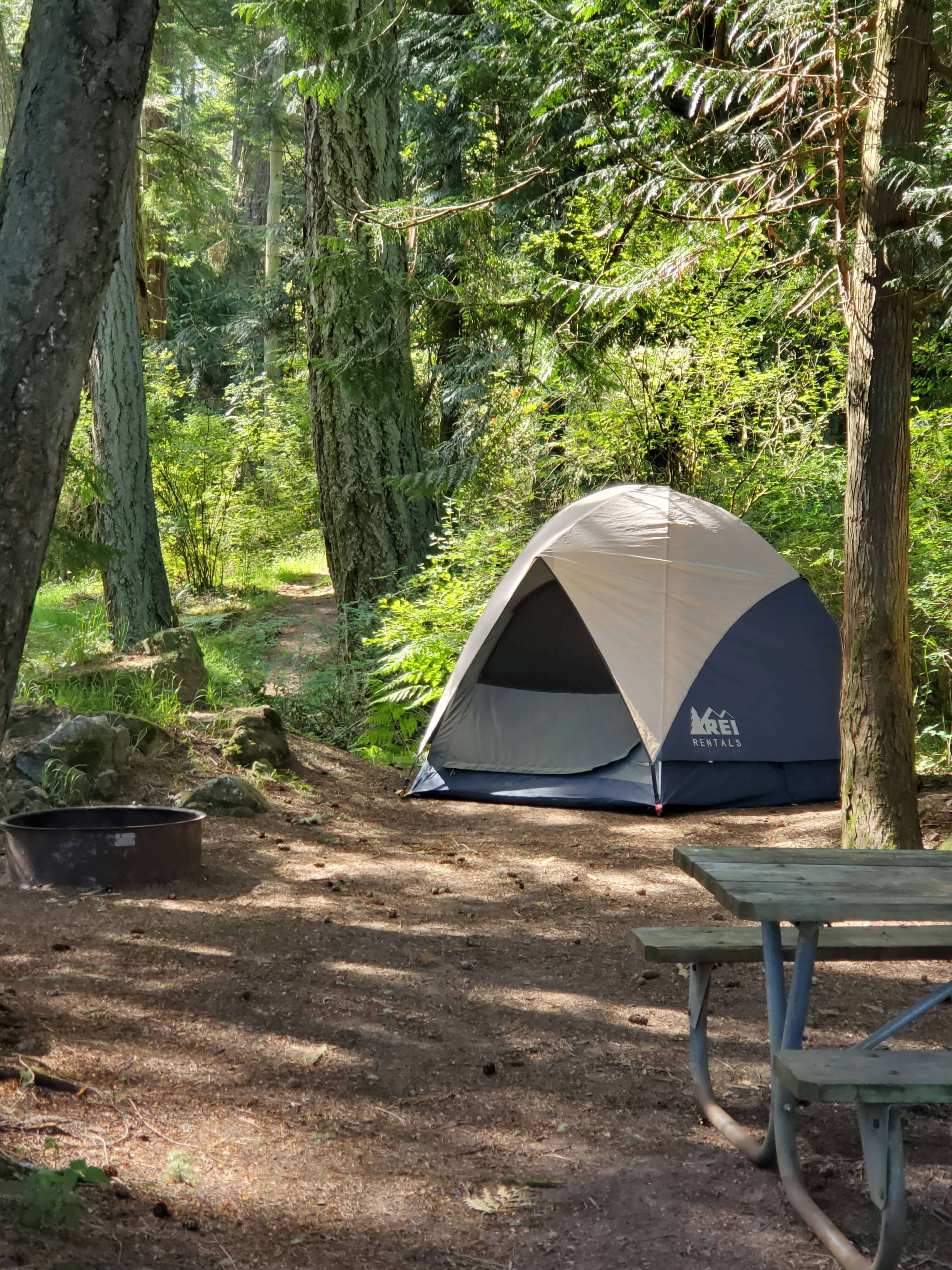 An REI-branded rental tent set up at a campsite