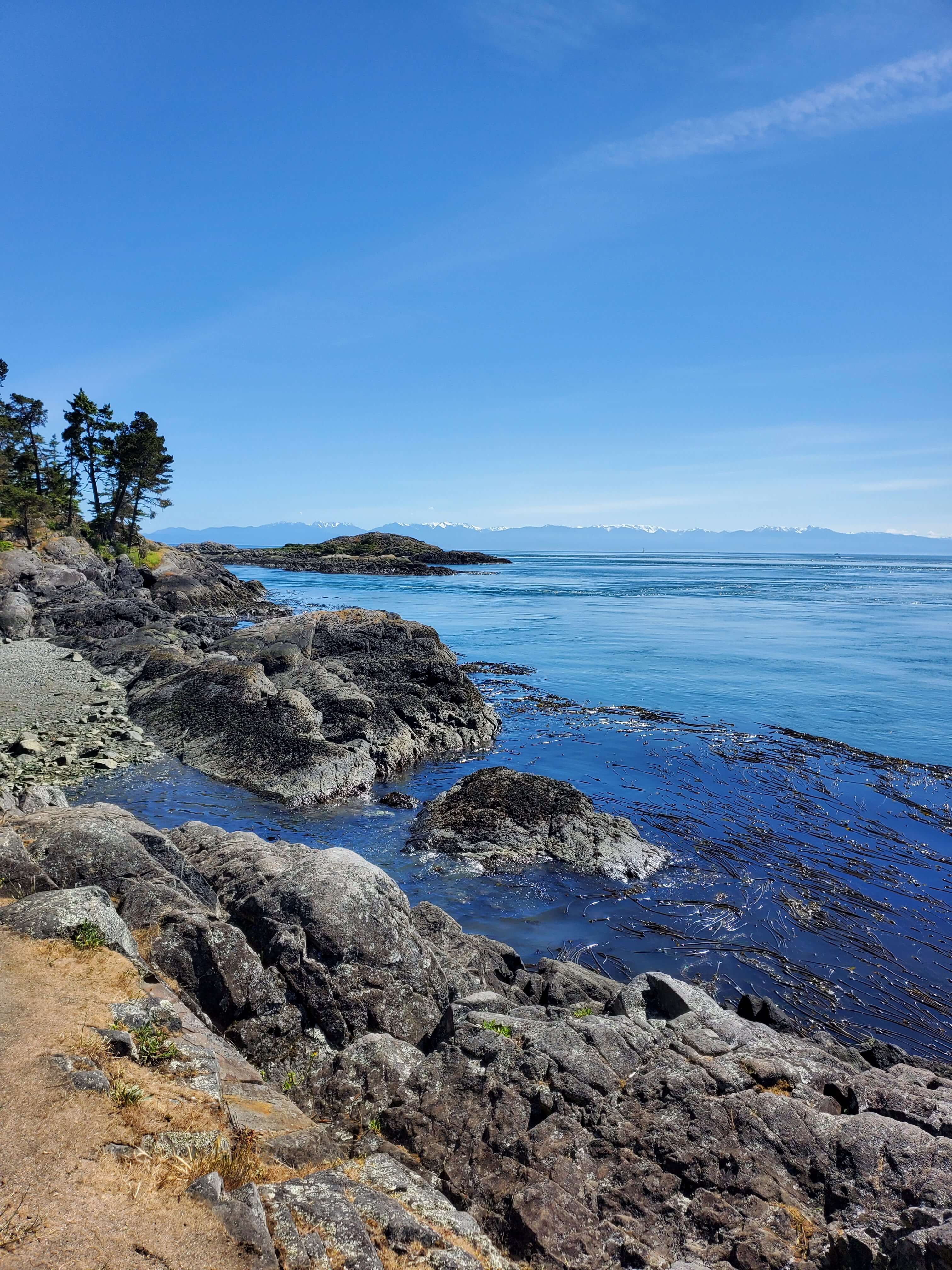 View of the Olympic Mountains from Shark Reef Sanctuary on Lopez Island
