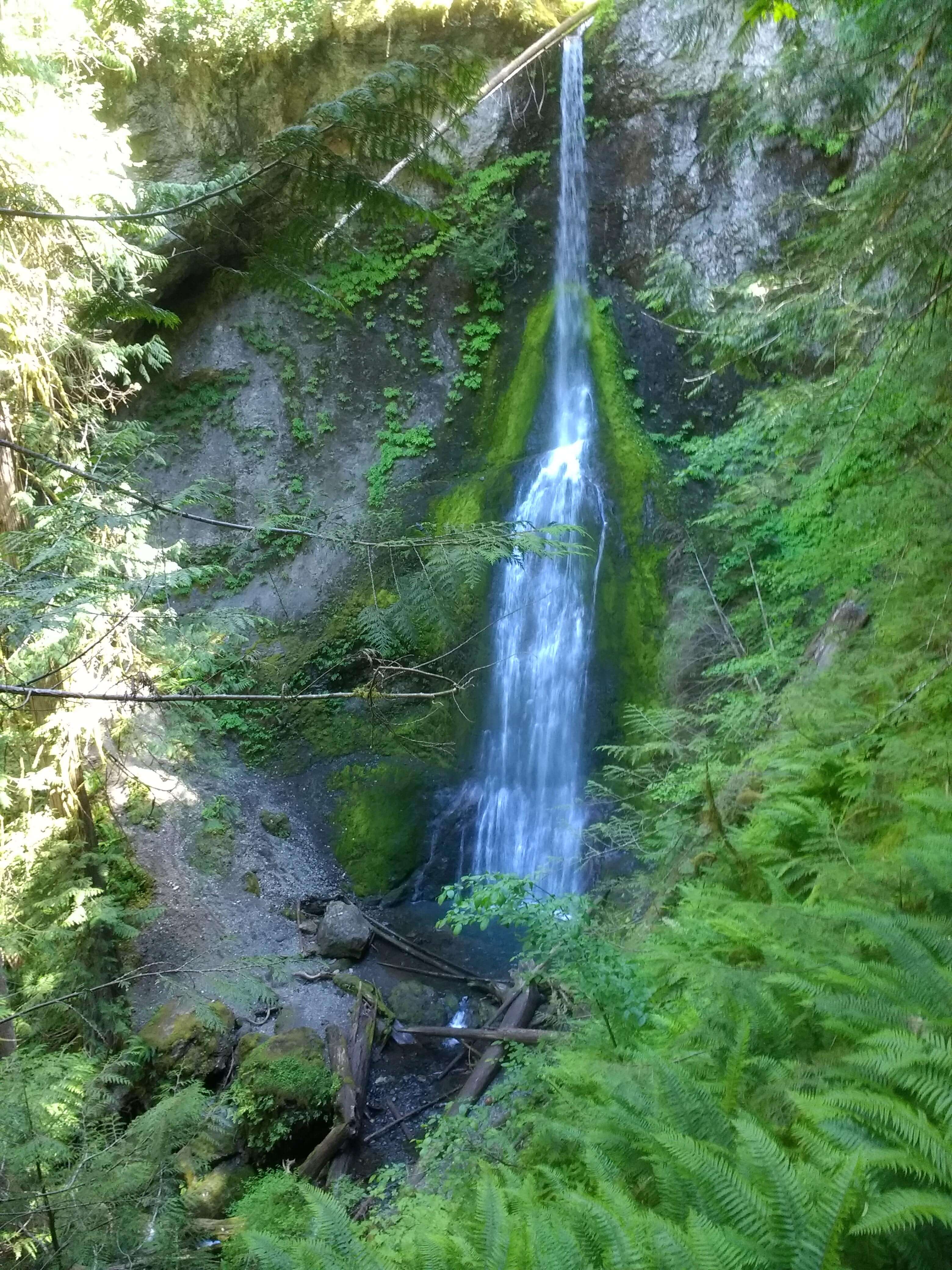 Marymere Falls in Olympic National Park