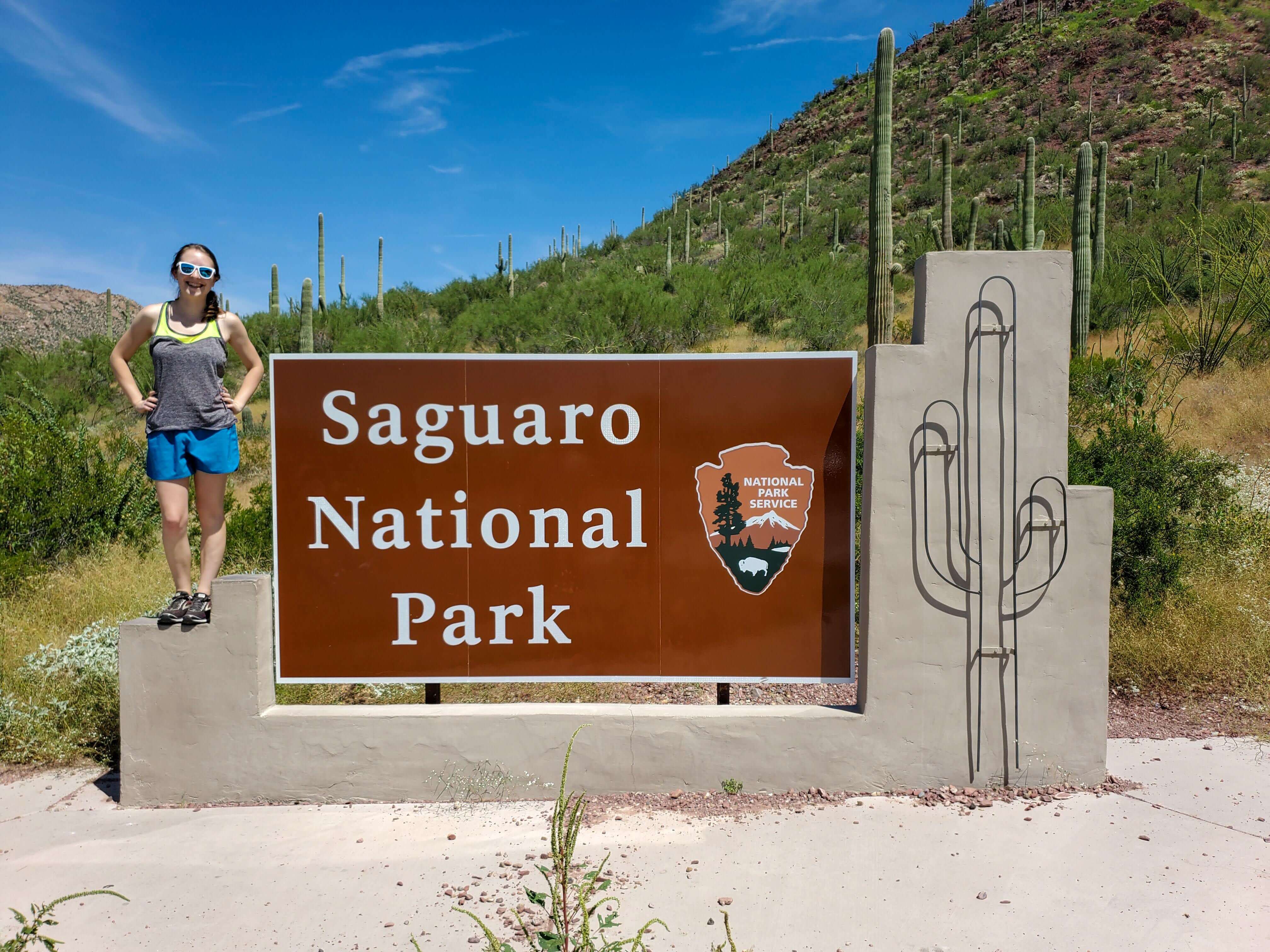 The Complete Guide To Saguaro National Park Amateur Adventure Journal 1399