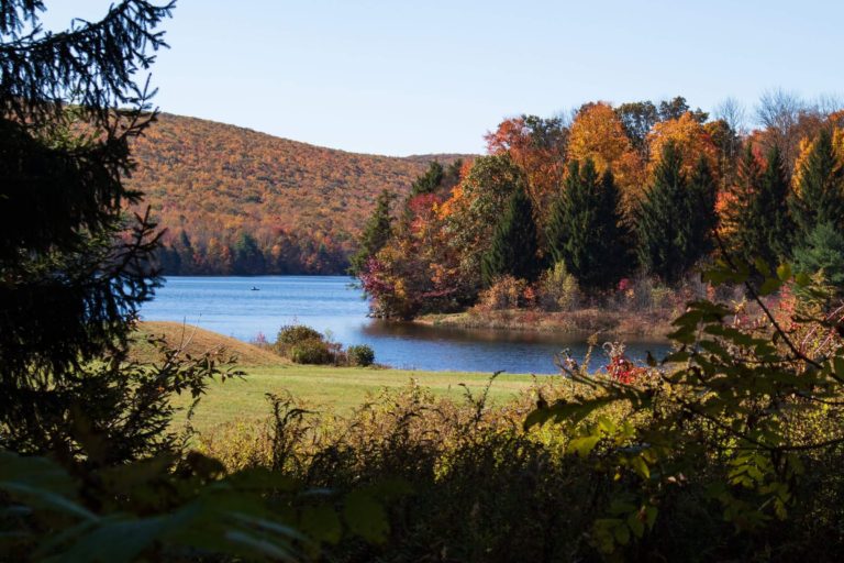 Best Camping in the Poconos: 14 Amazing Places to Camp