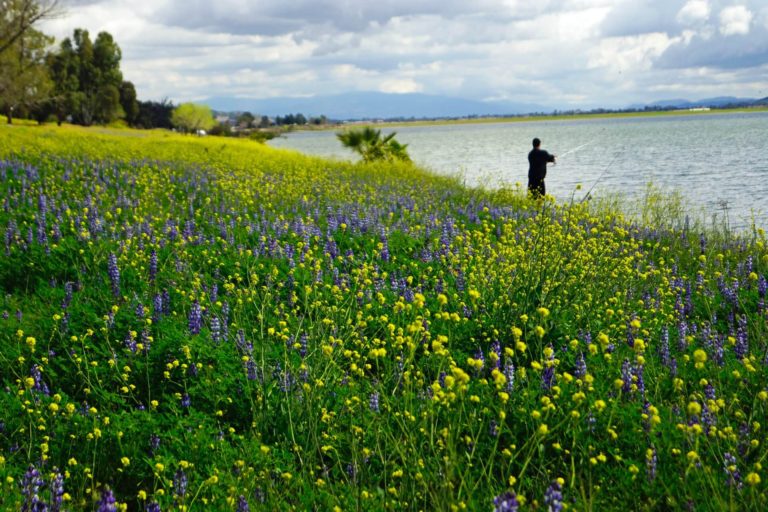 Lake Elsinore Camping: 10 Awesome Campgrounds to Explore