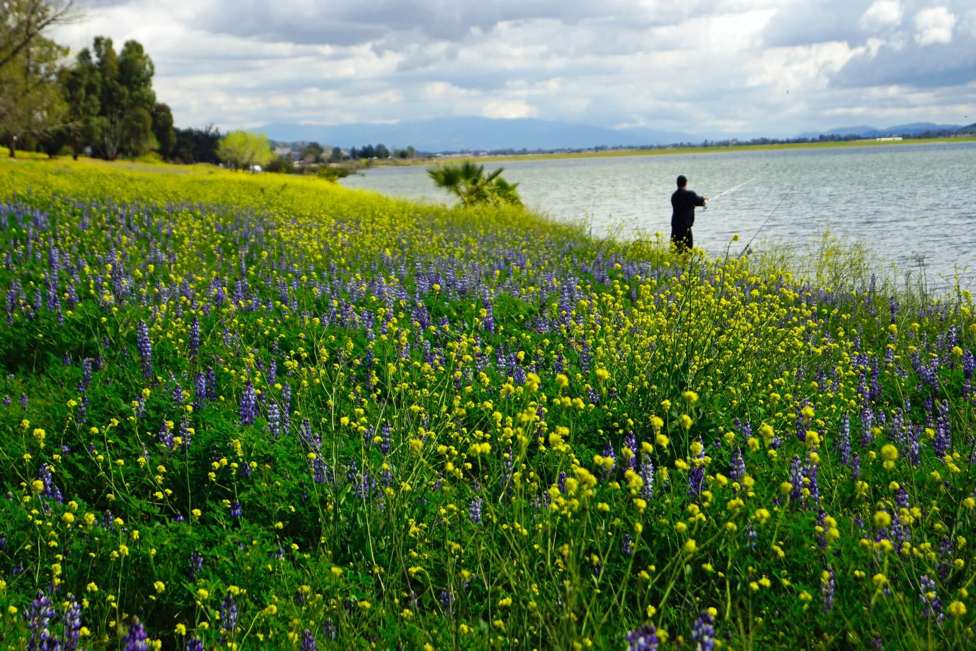 Lake Elsinore Camping: A Guide to Unforgettable Outdoor Adventures ...