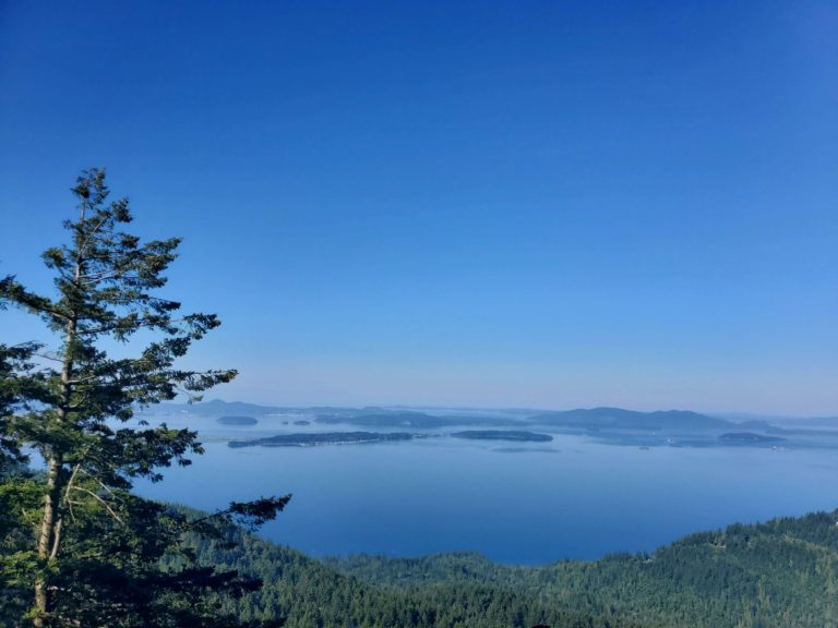 17 Best Easy Hikes in Washington State (According to a Local)
