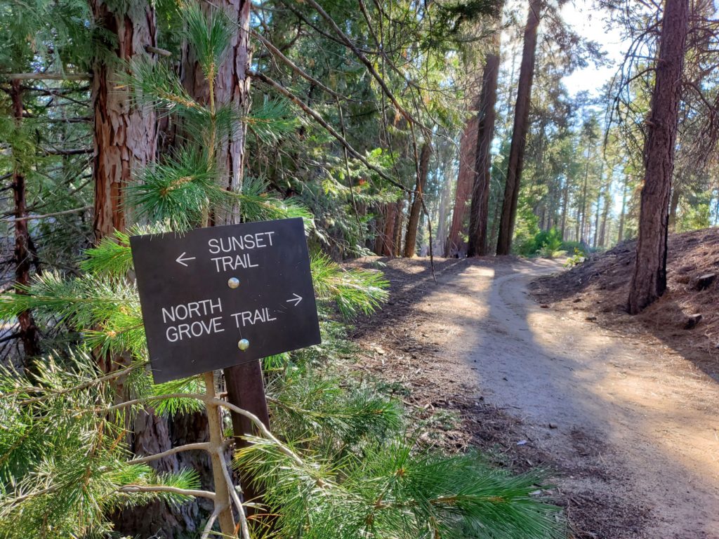 12 Awesome Things to Do in Kings Canyon National Park