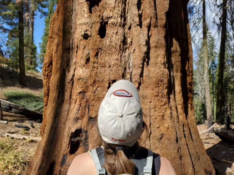 One Day in Sequoia National Park: 7 Can’t-Miss Things to Do