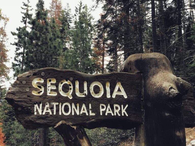 10 Best Campgrounds in (and Near) Sequoia National Park
