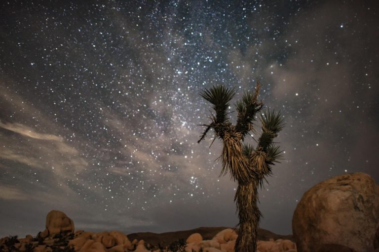 Stargazing in Joshua Tree National Park: Complete Guide for Beginners