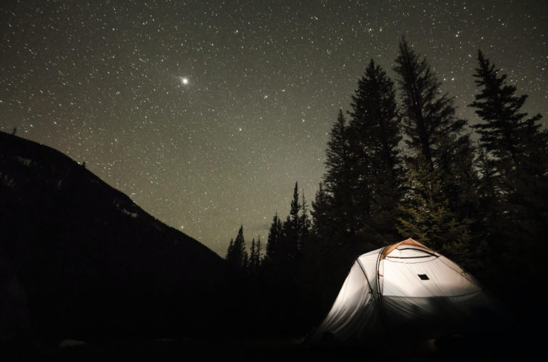 A white tent in front of trees at night