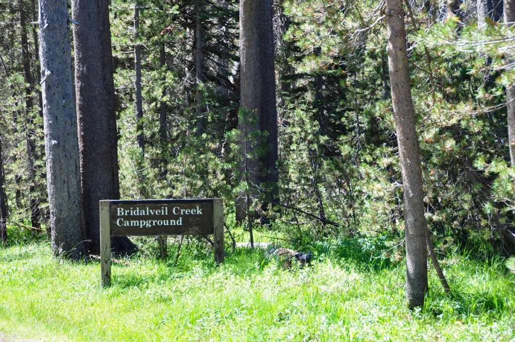 Entrance sign for Bridalveil Creek Campground