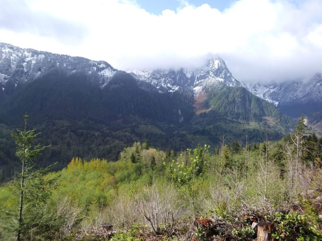 Snowy mountains obscured by clouds as seen from the base of Heybrook Lookout in Washington