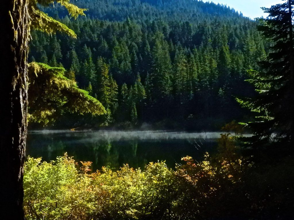 A lake surrounded by evergreen trees