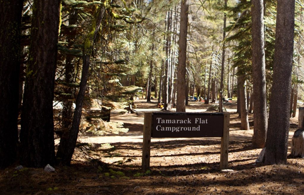 Entrance sign for Tamarack Flat Campground