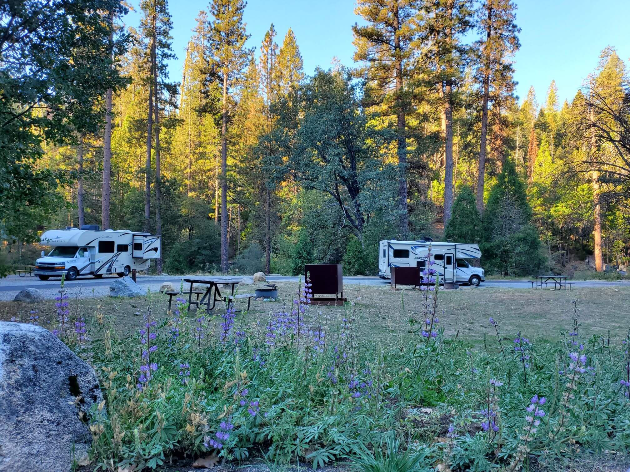 The Best Yosemite Campgrounds (With Reservation Tips) Amateur