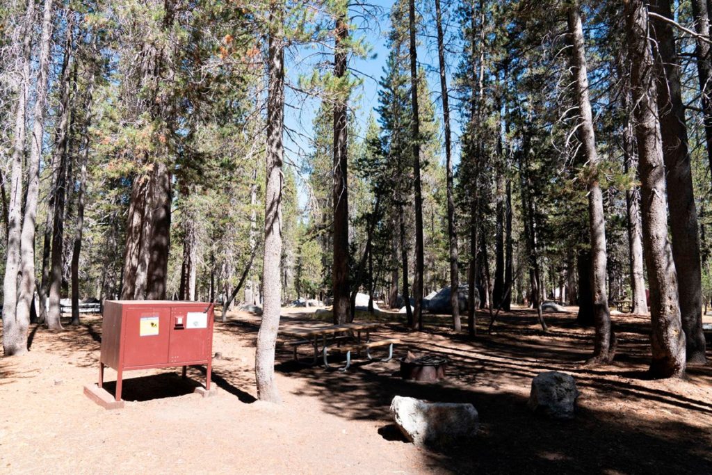 Empty campsite with a bear box at White Wolf Campground