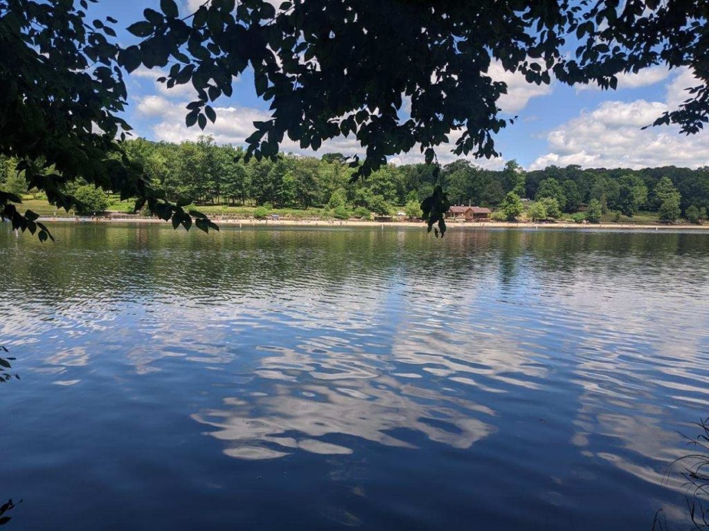 A picture of a lake taken from under a tree