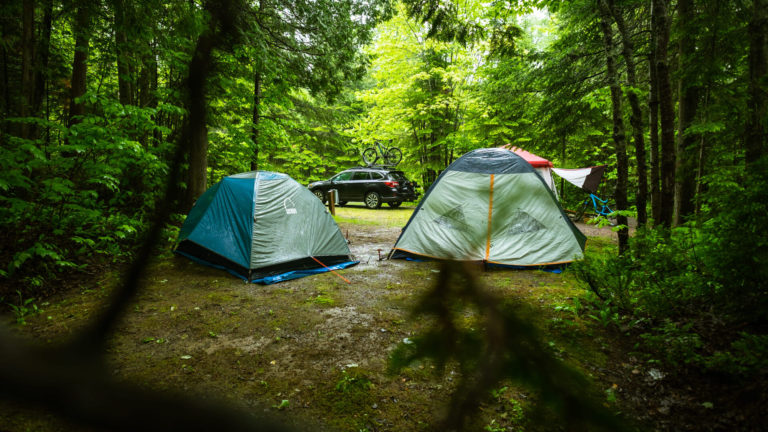 Two tents secluded in the woods that have been rained on