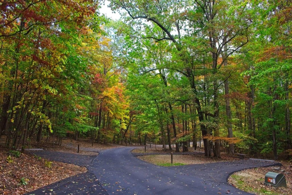 Empty campsites at Look Rock Campground in fall
