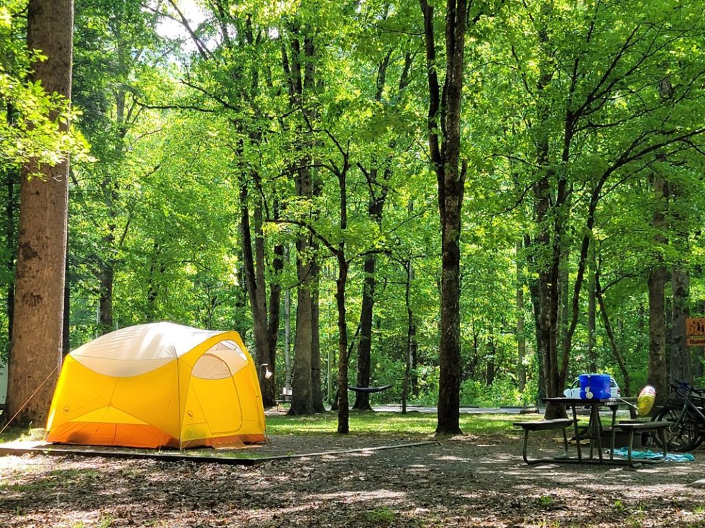 A yellow tent sits under the trees at Smokemont Campground in Great Smoky Mountains National Park