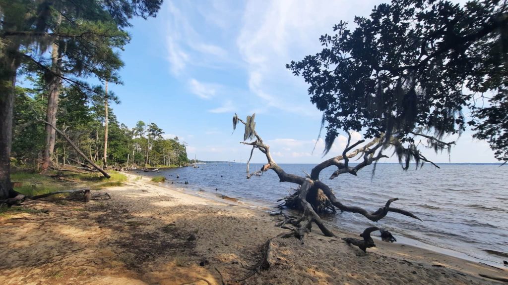 Coastline at Goose Creek State Park in North Carolina