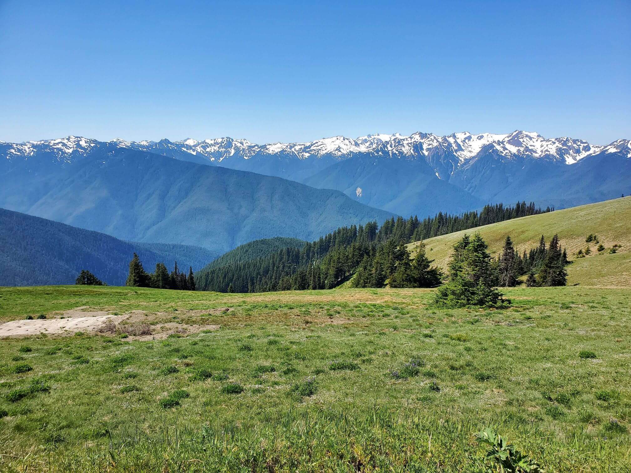 View of the Olympic Mountains from the Hurricane Ridge Visitor Center in Olympic National Park