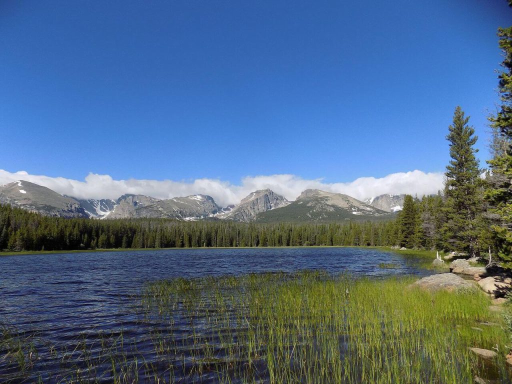 Aquatic grass and rocky mountain peaks surround the blue Bierstadt Lake in Rocky Mountain National Park