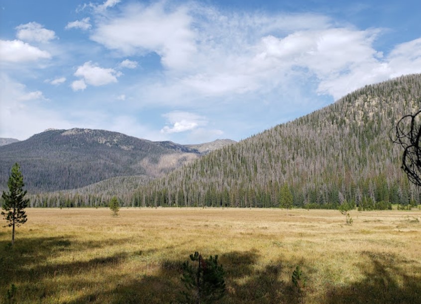 A flat meadow with yellowing grass in front of rocky, rounded mountains
