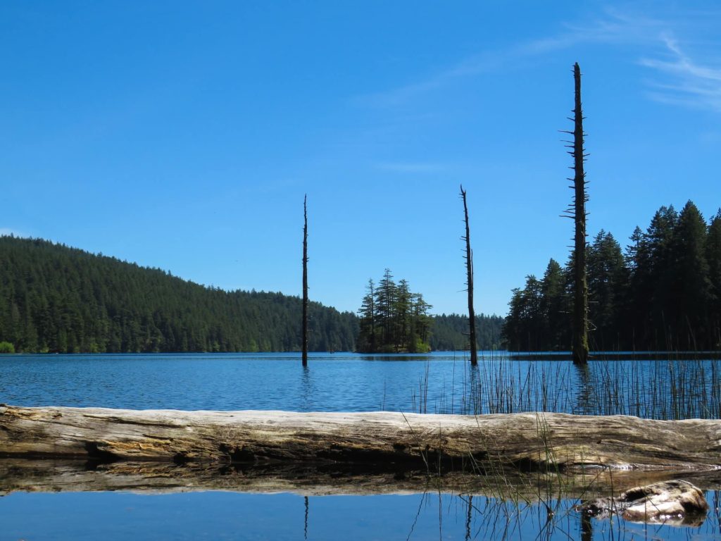 A log crosses Mountain Lake on Orcas Island