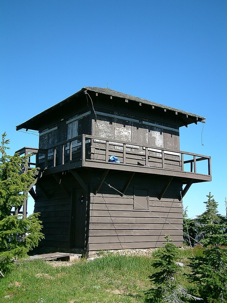 A brown fire tower is surrounded by green trees, grass, and a clear blue sky