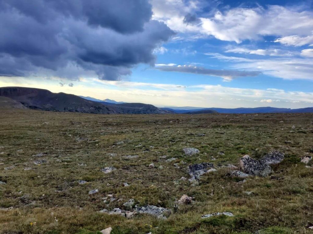 A view seen along the Tundra Communities Trail: a grassy tundra with mountains and gray clouds in the distance