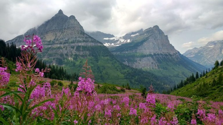 11 Amazing National Parks With Mountains in the US